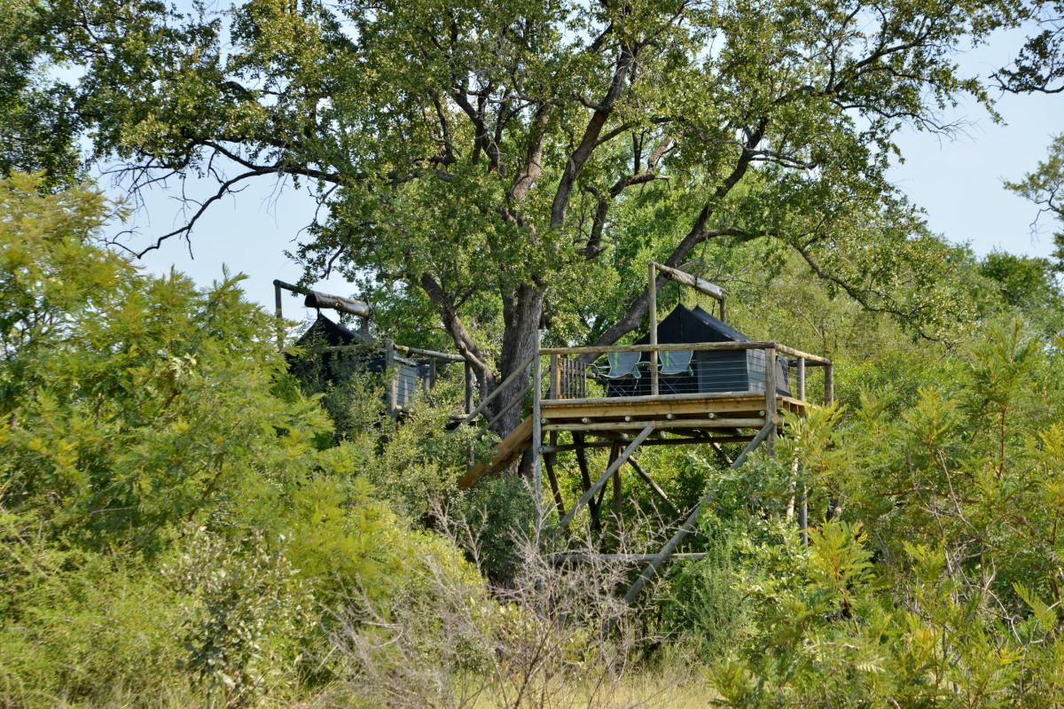 Cedarberg Travel | Rhino Walking Safaris at Plains Camp