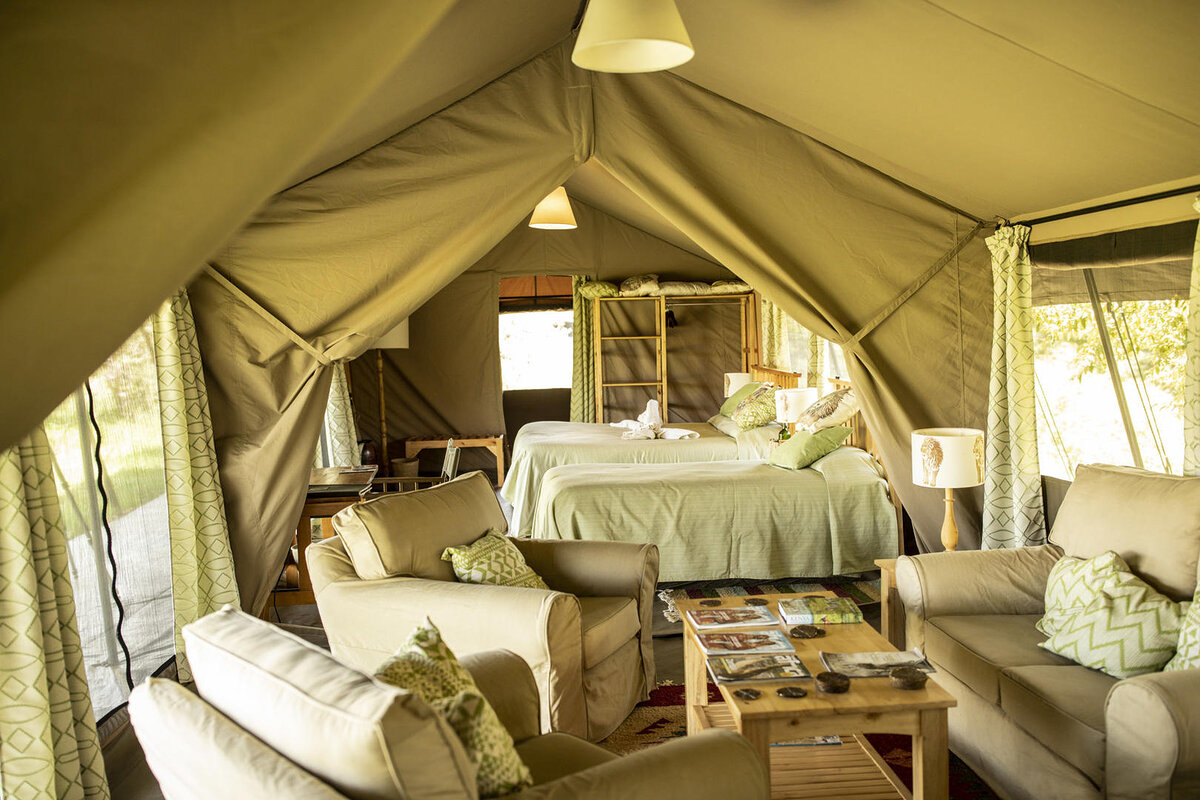 Cedarberg Travel | Porini Lion Camp
