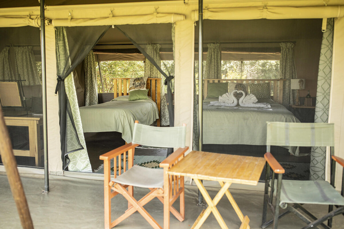 Cedarberg Travel | Porini Lion Camp