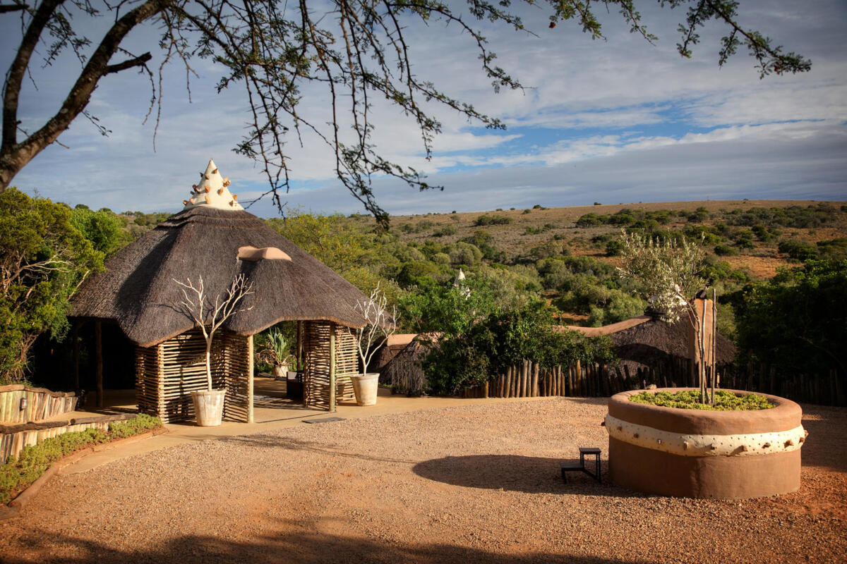 Cedarberg Travel | Amakhala Safari Lodge