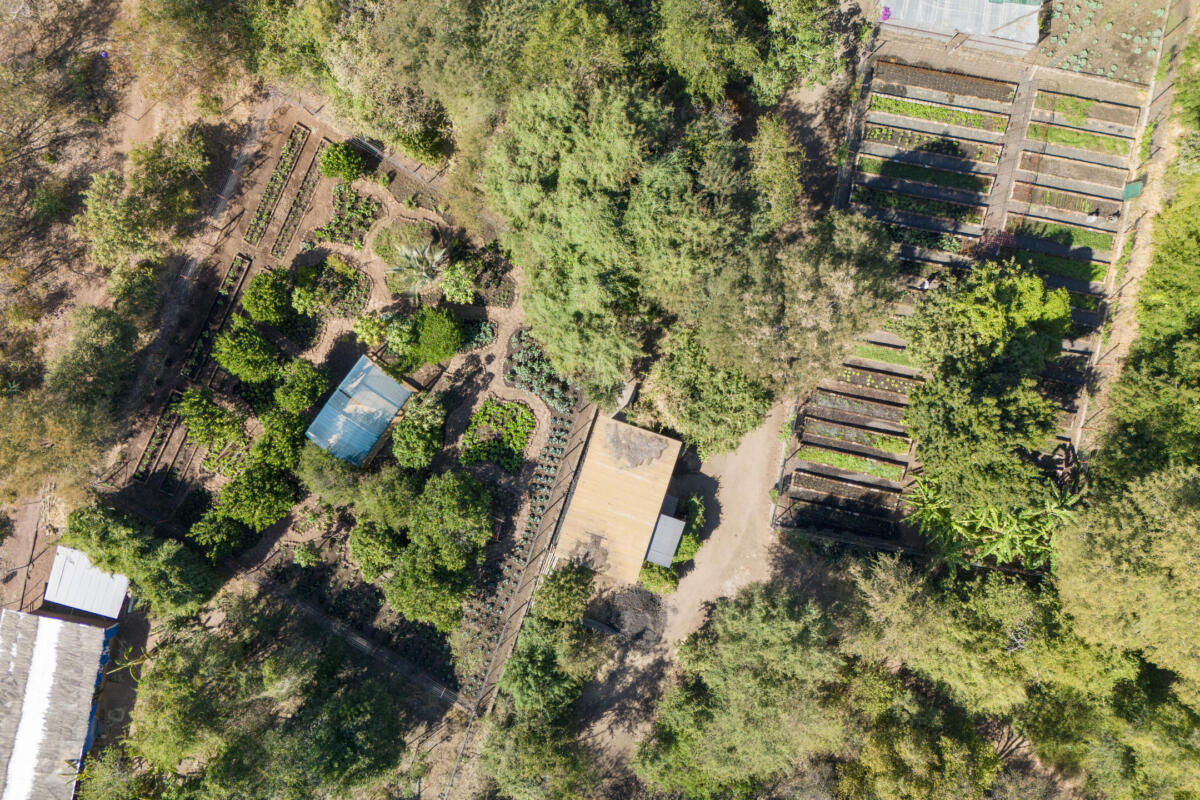 Cedarberg Travel | Tongabezi Lodge