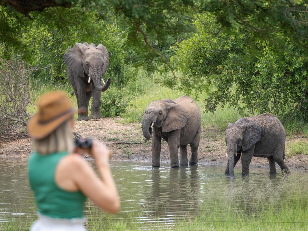 Cedarberg Travel | Kambaku Safari Lodge