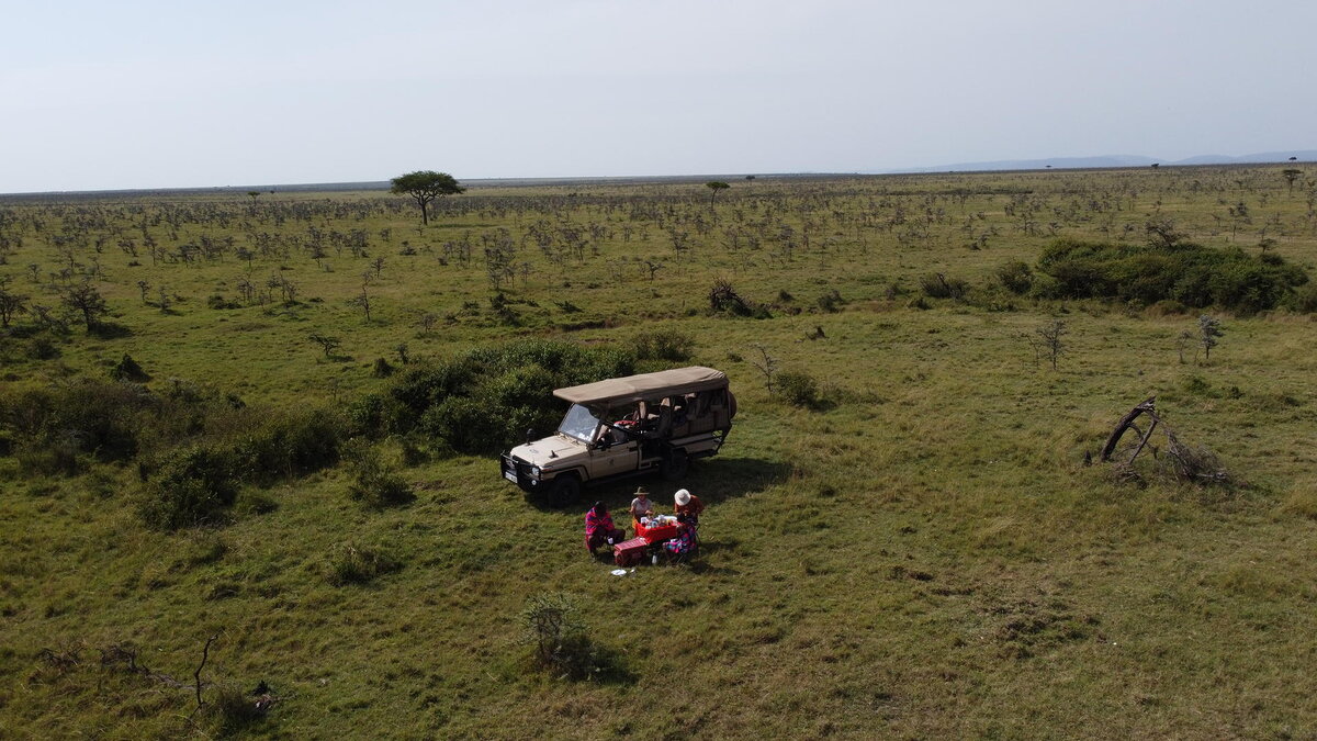 Cedarberg Travel | Porini Lion Camp