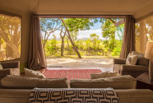 Forest Luxury Tent with a pool (Tent 4)