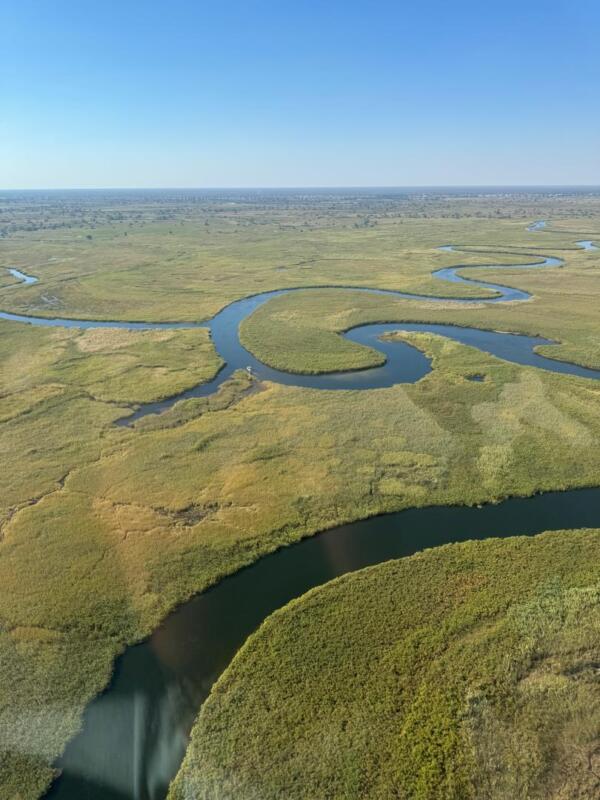 Cedarberg Travel | Ndhovu Safari Lodge