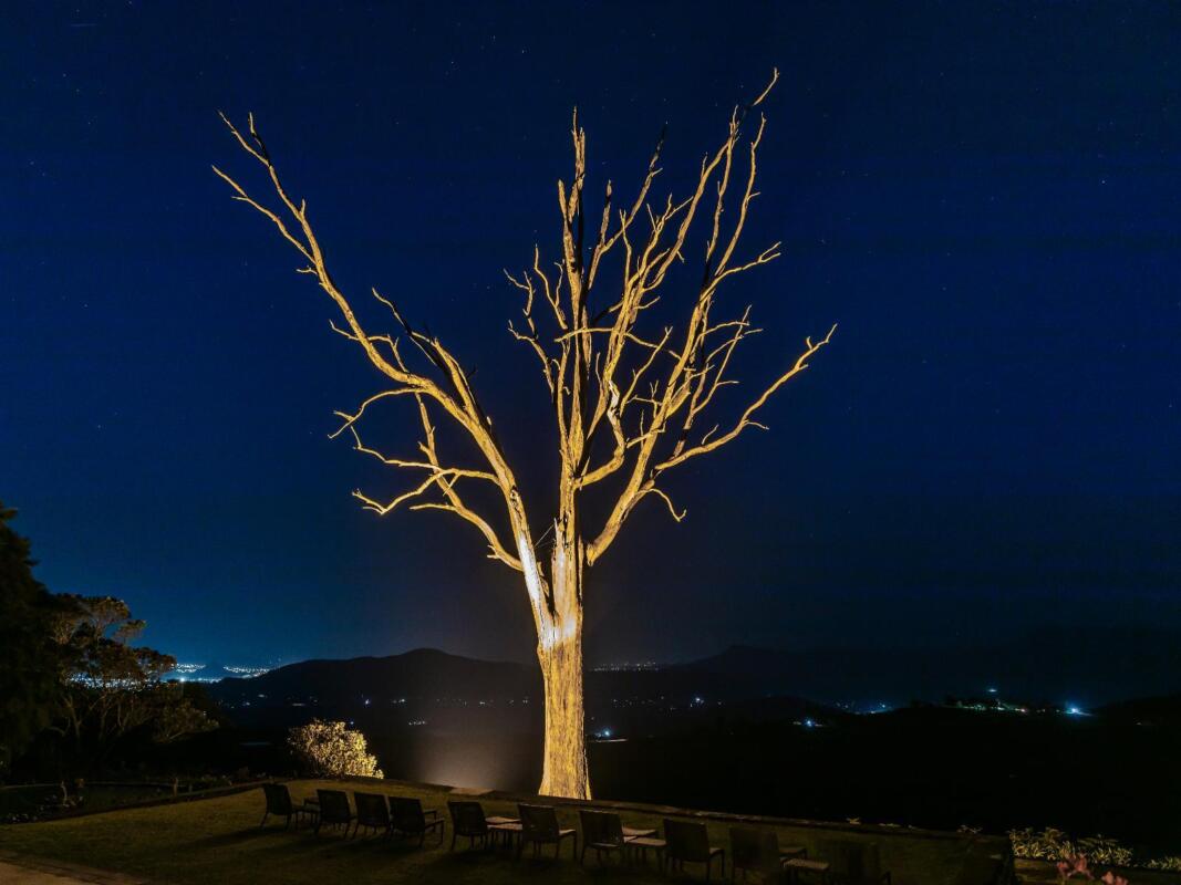 Cedarberg Travel | Kings Walden Garden Manor