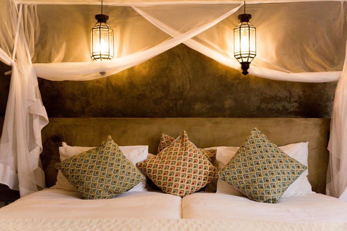 Cedarberg Travel | Olive Grove Guesthouse