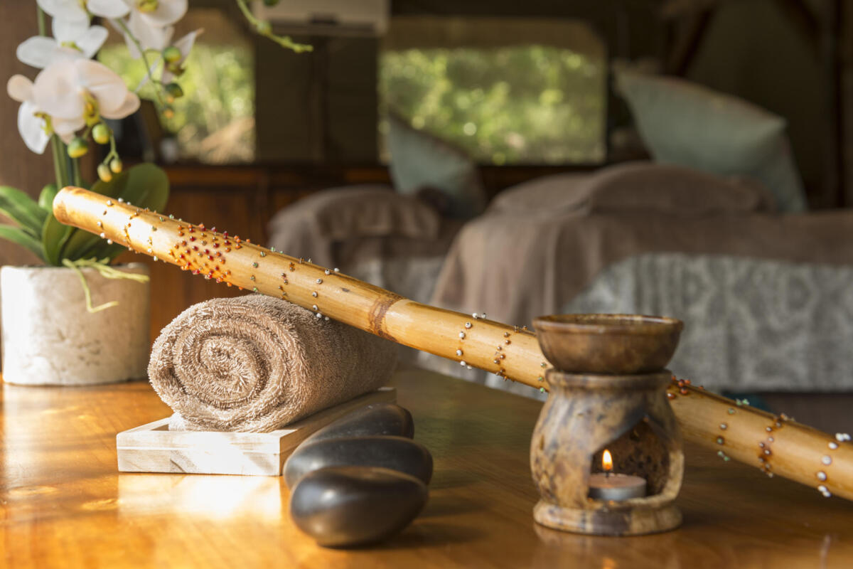 Cedarberg Travel | Bayethe at Shamwari Private Game Reserve