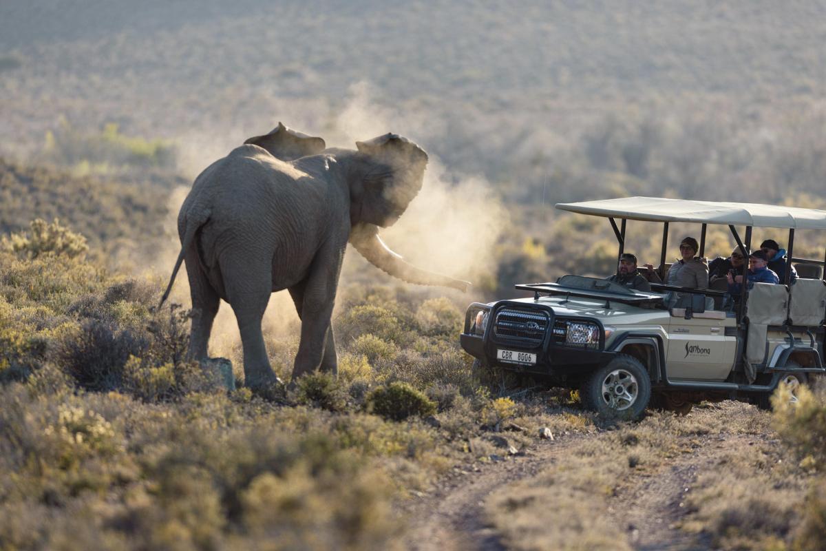 Cedarberg Travel | Tilney Manor at Sanbona