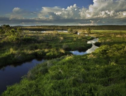 Limpopo-landscape-SS-700