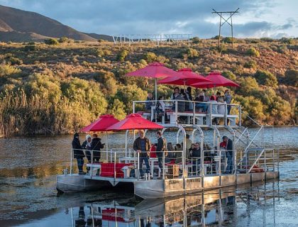 Viljoensdrift wine estate, route 62