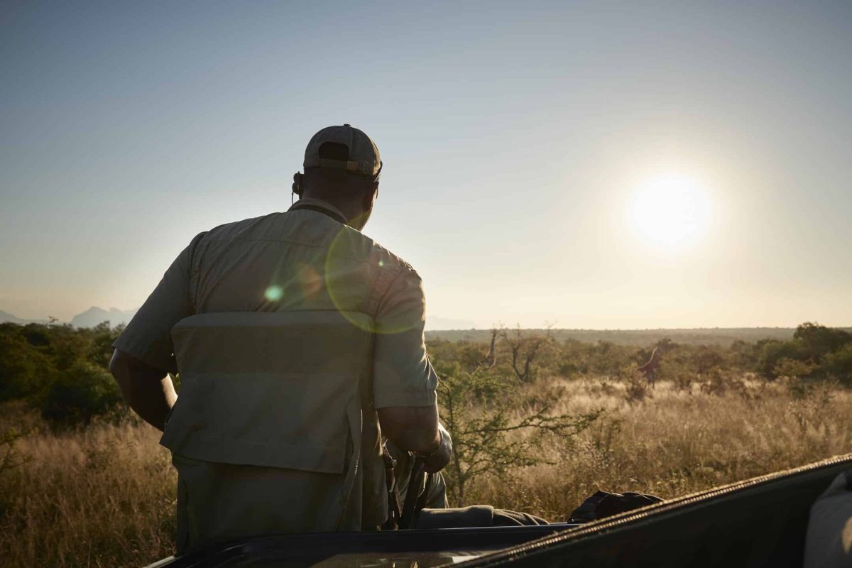 Cedarberg Travel | Malewane Lodge on Royal Malewane