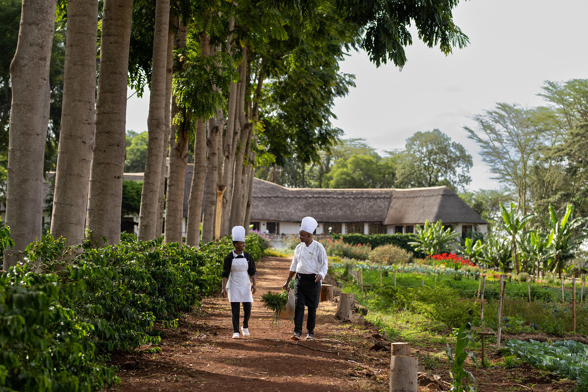 Cedarberg Travel | Ngorongoro Farm House