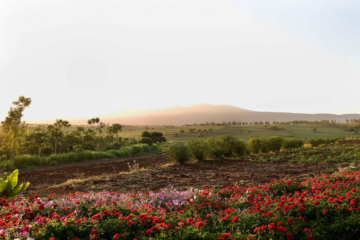 Cedarberg Travel | Ngorongoro Farm House