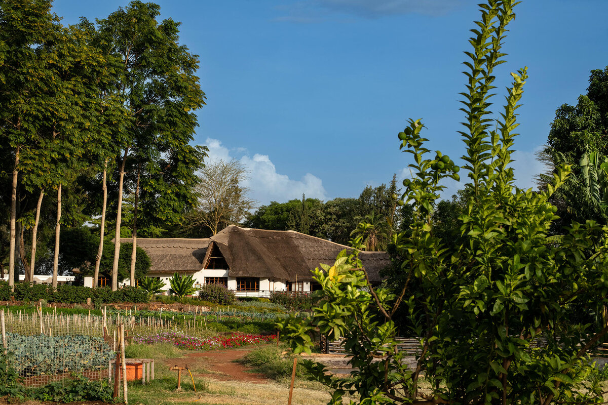 Cedarberg Travel | Ngorongoro Farm House