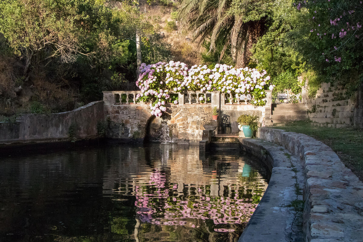 Cedarberg Travel | Camps Bay Retreat Private Nature Reserve