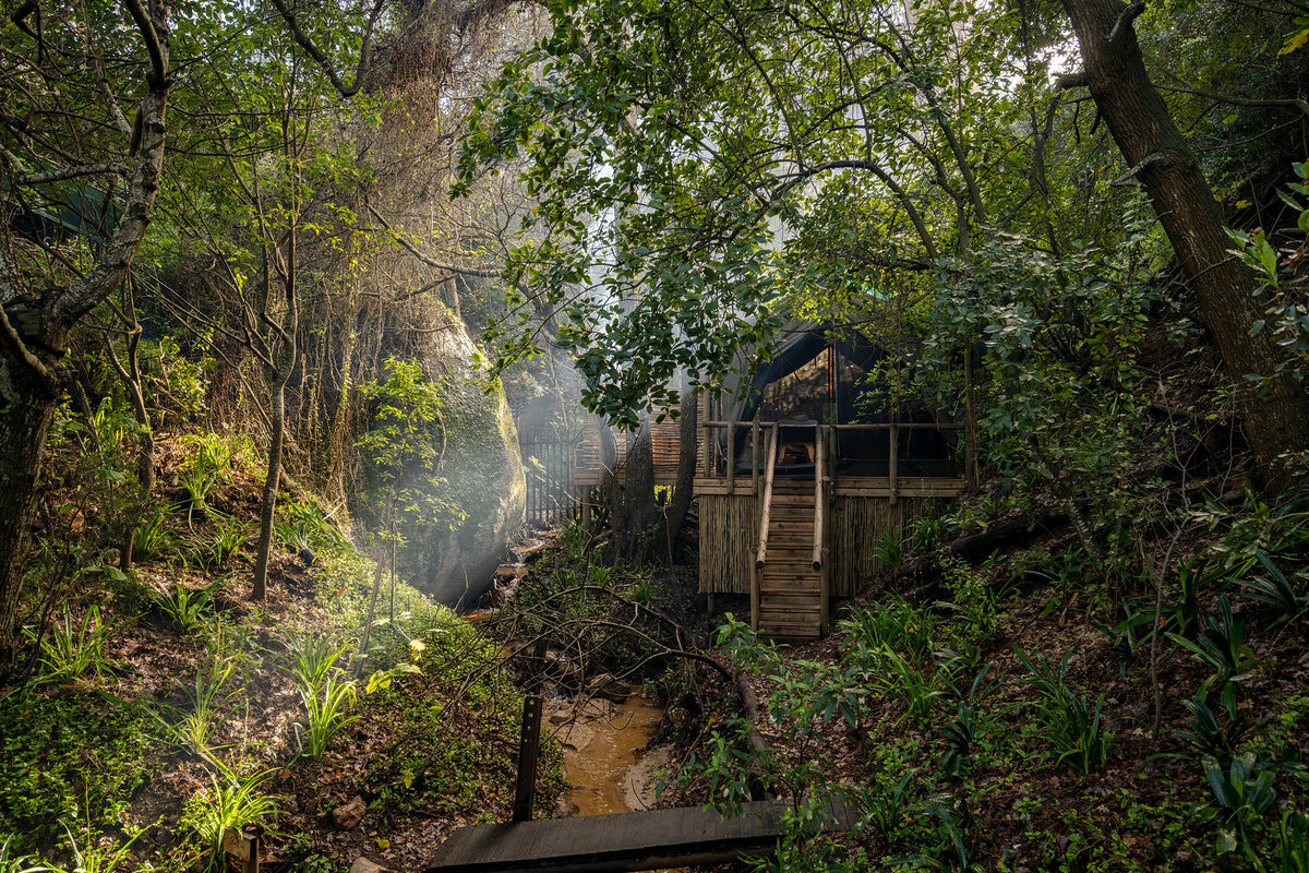 Cedarberg Travel | Camps Bay Retreat Private Nature Reserve