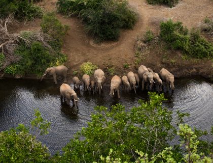 Classic Botswana Safari with Victoria Falls