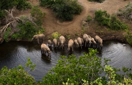 Classic Botswana Safari with Victoria Falls