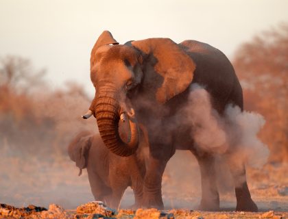 Namibia Explorer Self-Drive Tour to Victoria Falls