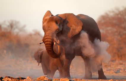 Namibia Explorer Self-Drive Tour to Victoria Falls