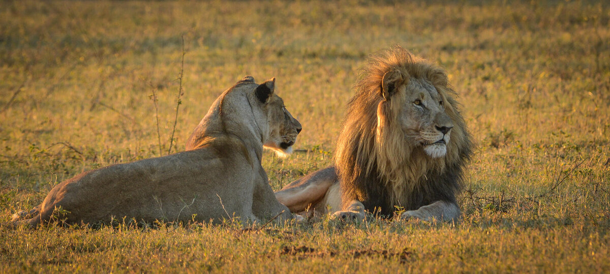 Cedarberg Travel | Marataba Mountain Lodge
