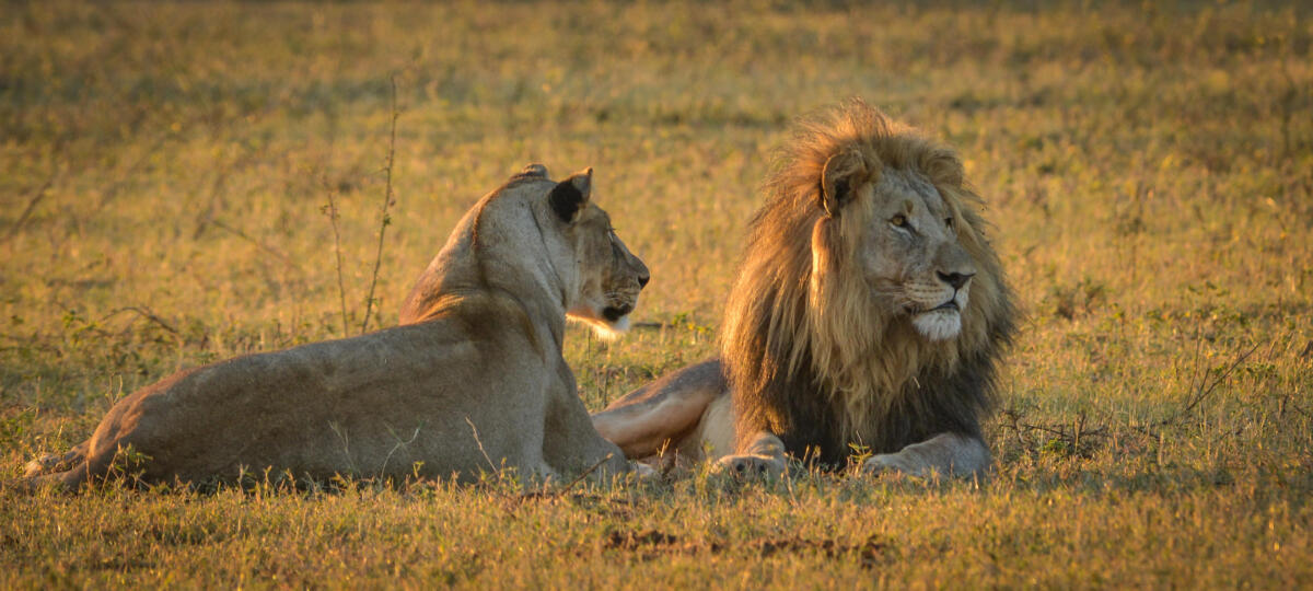 Cedarberg Travel | Marataba Mountain Lodge