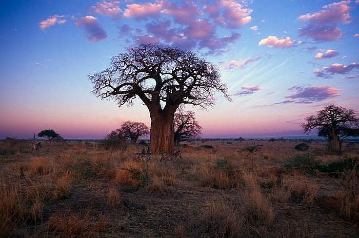 Cedarberg Travel | Hidden Tanzania with Lake Natron