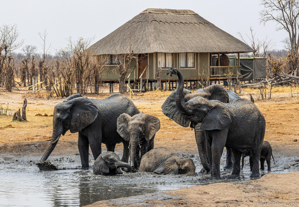 Cedarberg Travel | Nehimba Lodge
