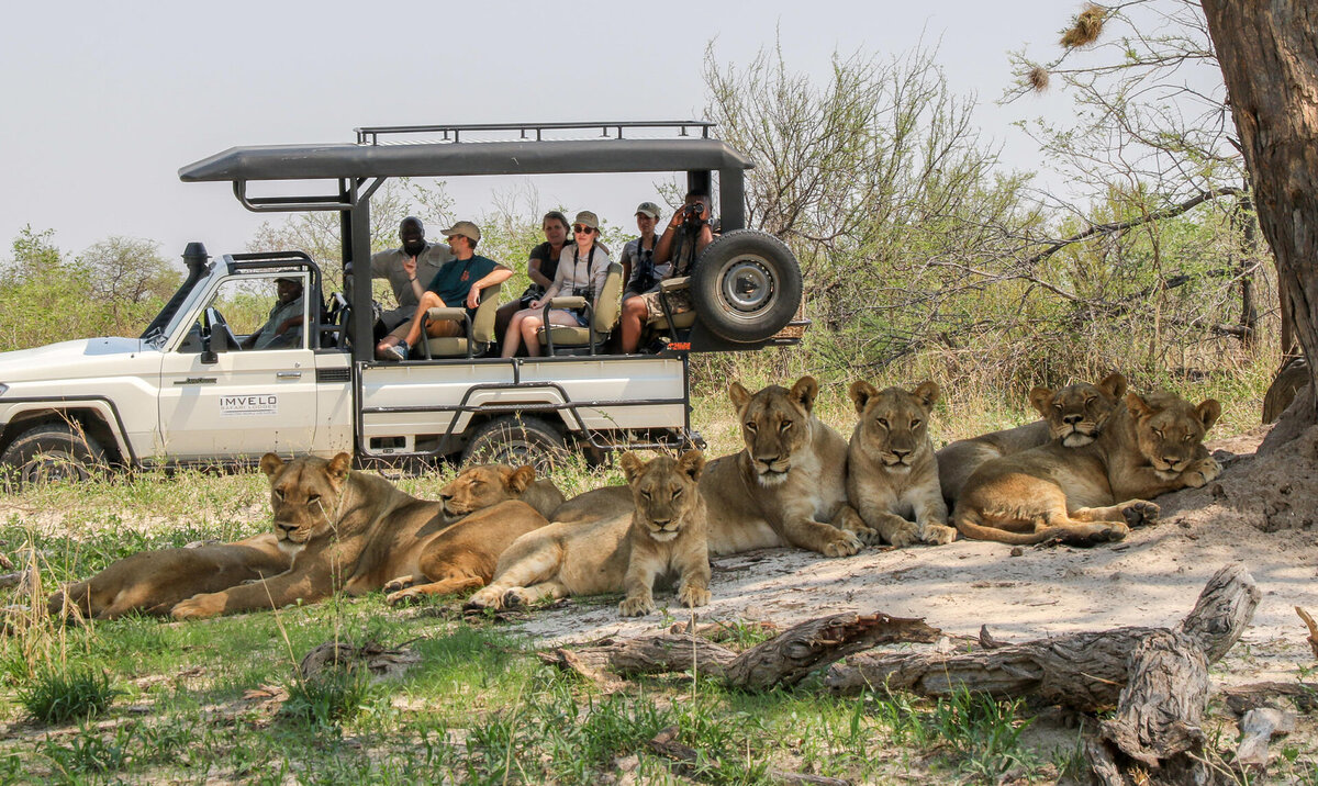 Cedarberg Travel | Nehimba Lodge