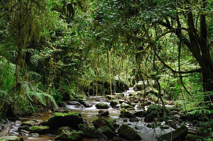 Walking tours in Madagascar