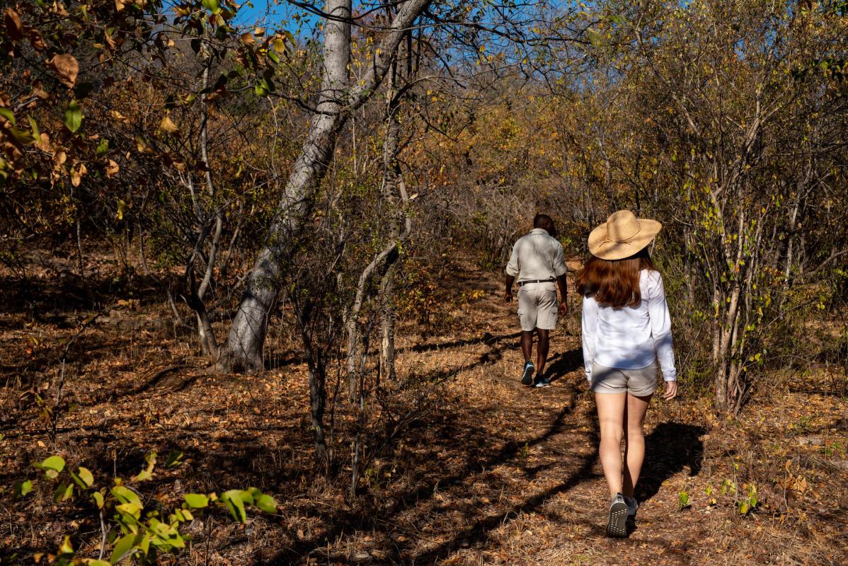 Cedarberg Travel | Ichingo Chobe River Lodge