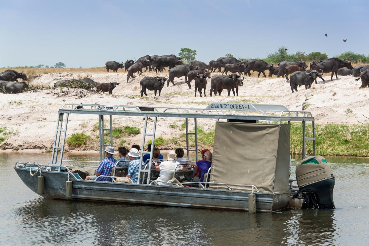 Cedarberg Travel | Ichingo Chobe River Lodge