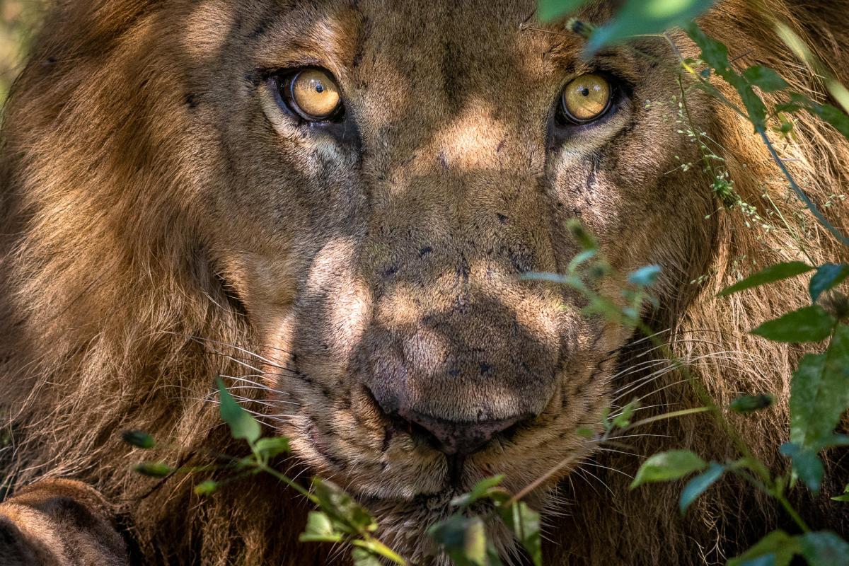 Cedarberg Travel | Wilderness King's Pool Camp