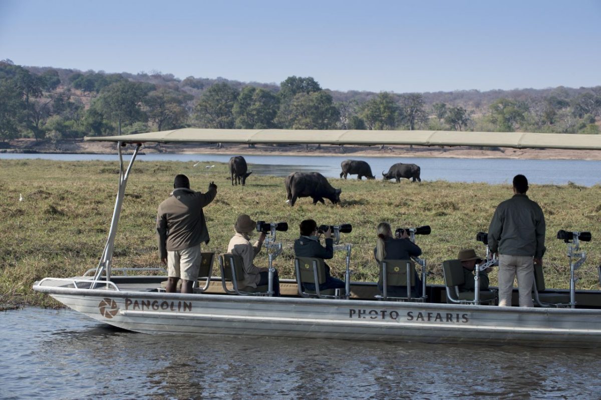 Cedarberg Travel | andBeyond Chobe Under Canvas