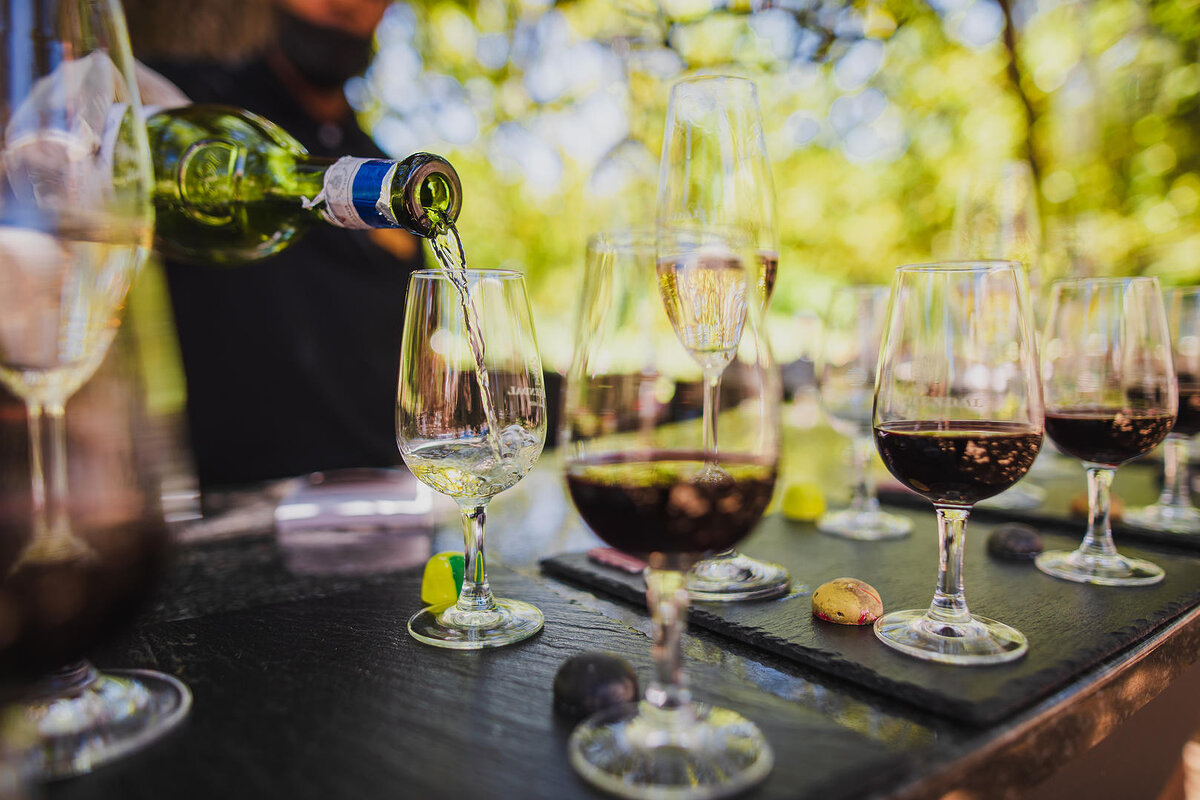 Cedarberg Travel | Boschendal Farm