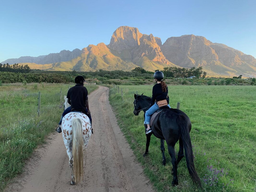 Cedarberg Travel | Boschendal Farm