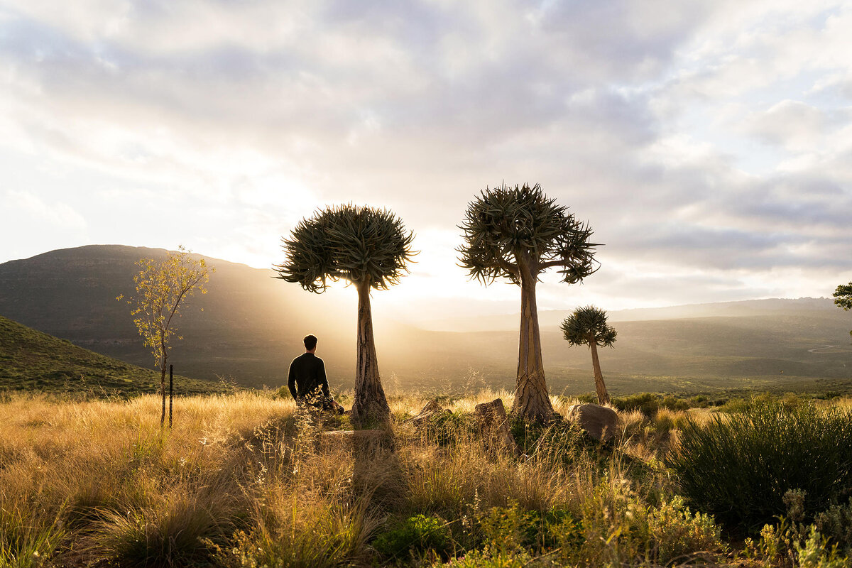 Cedarberg Travel | Simbavati Cederberg Ridge