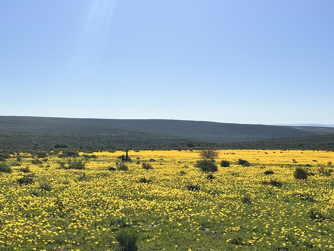 Cedarberg Travel | Simbavati Cederberg Ridge