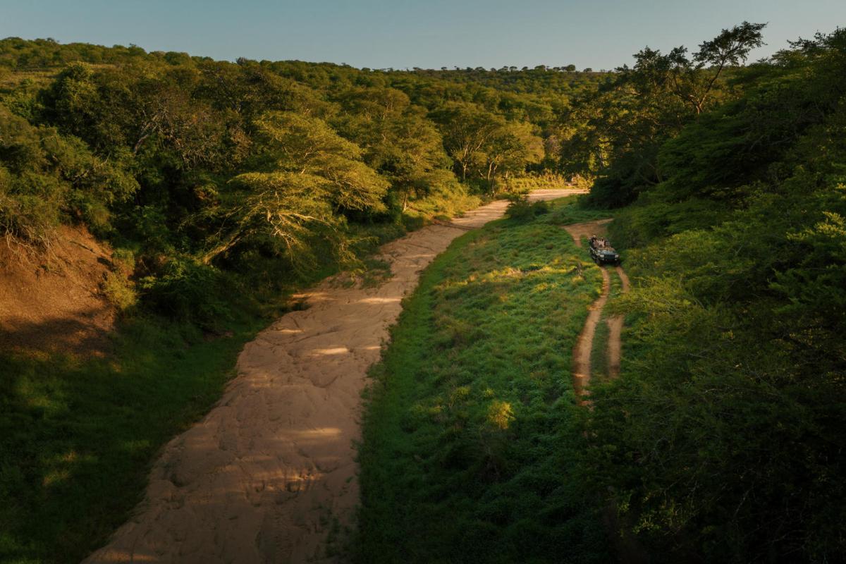 Cedarberg Travel | Rhino Sands Safari Lodge