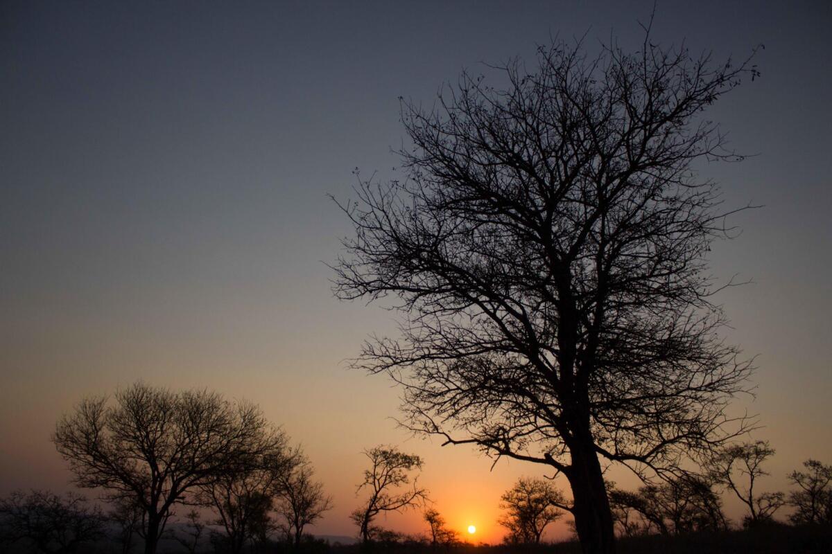 Cedarberg Travel | Rhino River Lodge