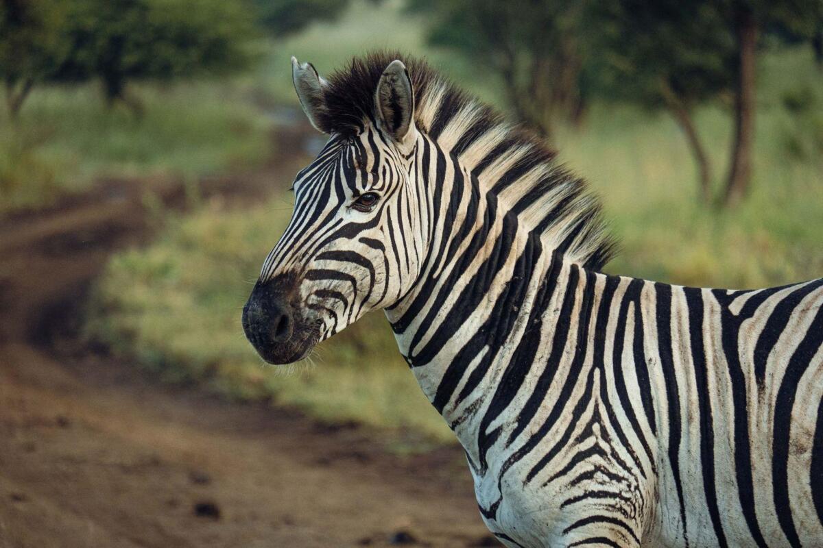 Cedarberg Travel | Rhino River Lodge