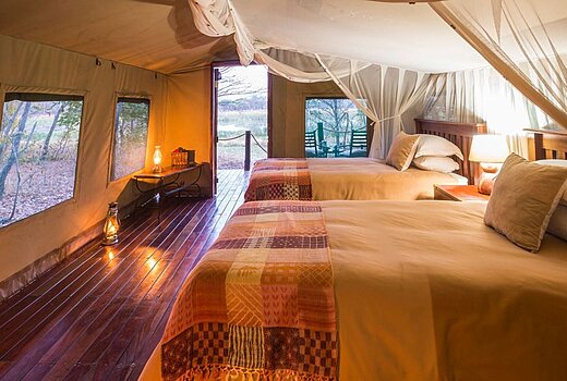 Safari tent - twin