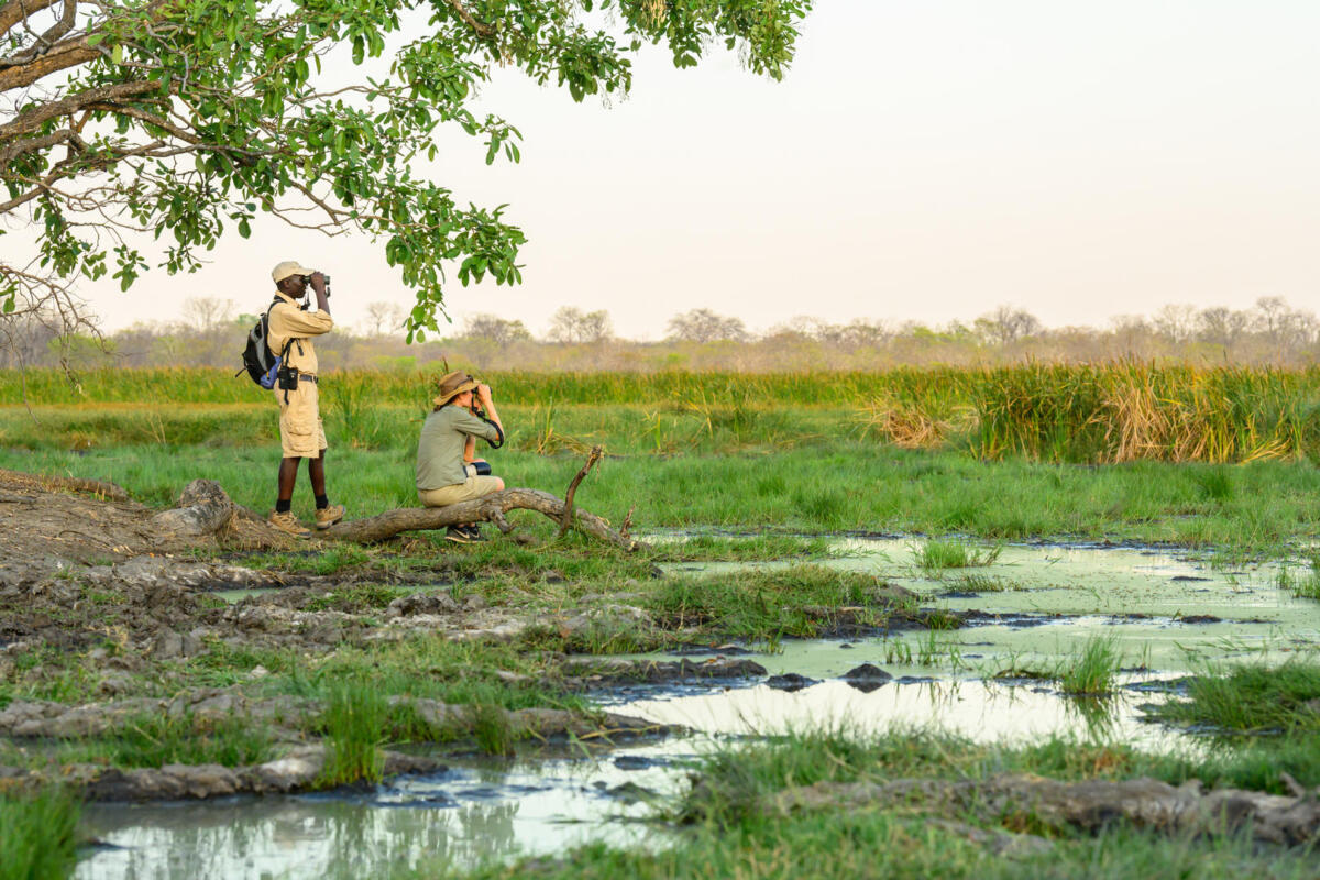 Cedarberg Travel | Takwela Camp