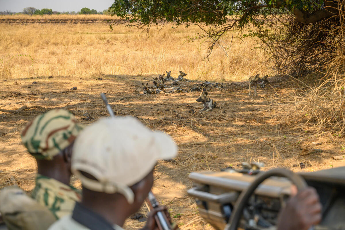 Cedarberg Travel | Takwela Camp