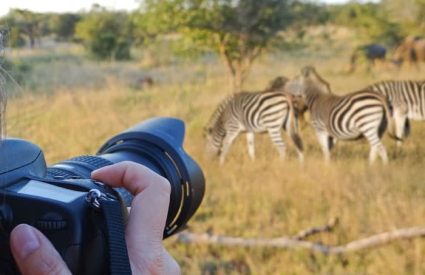 Tips on Wildlife Safari Photography – part 1
