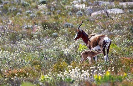 Remote South Africa – 5 Detours for The Road Less Travelled