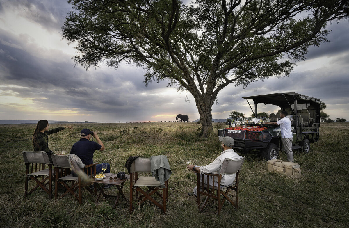 Cedarberg Travel | Nimali Central Serengeti