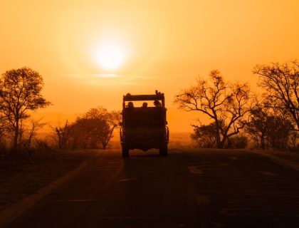 Cape Town, Kruger & Victoria Falls Highlights 11 nights