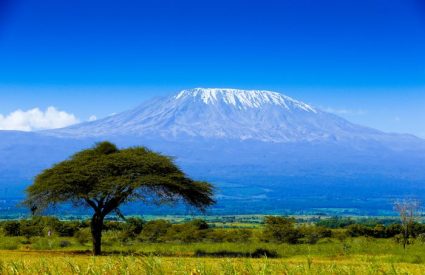 How much does a Tanzania safari cost in 2026?